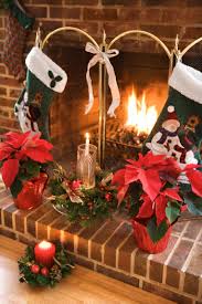 flor de pascua navidad chimenea
