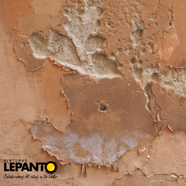 Pintura antihumedad|Soluciones efectivas con imprimaciones y disolventes