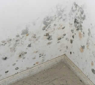 Humedad pared interior